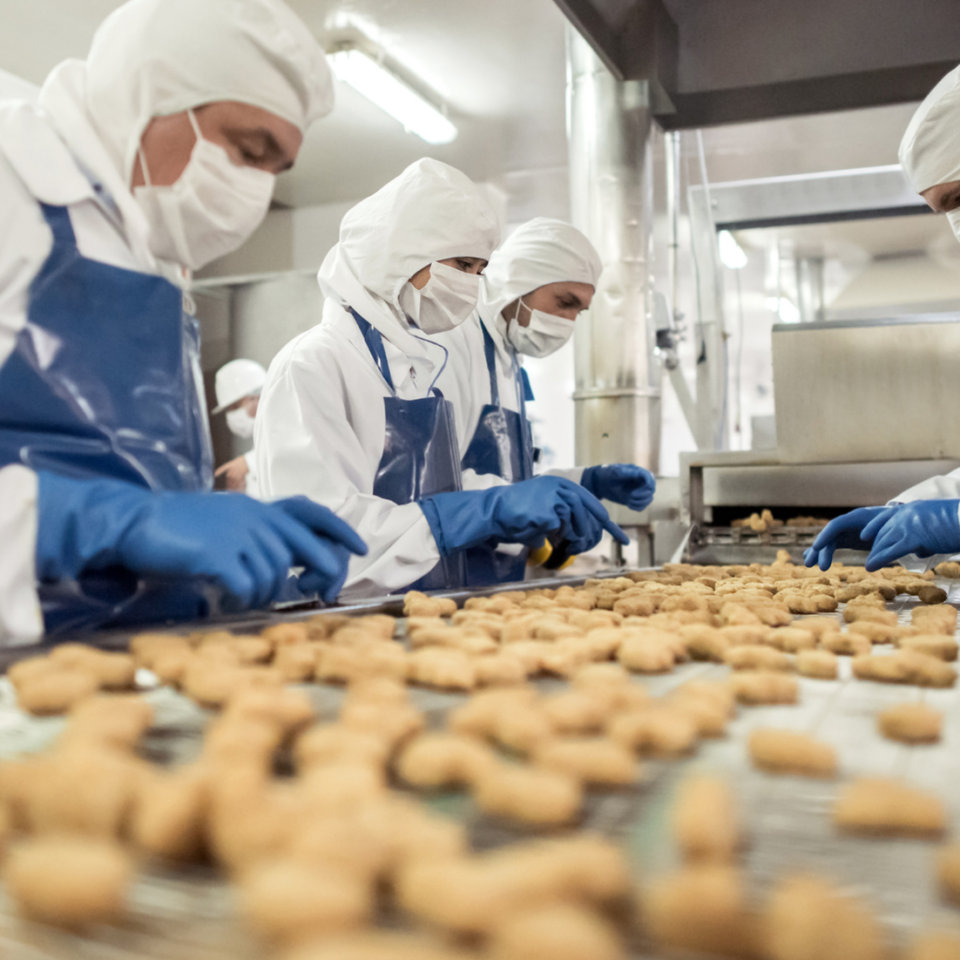 Photo of food manufacturing workers